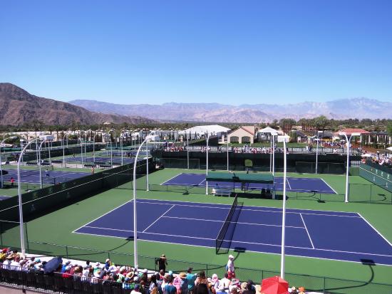 Practice Courts